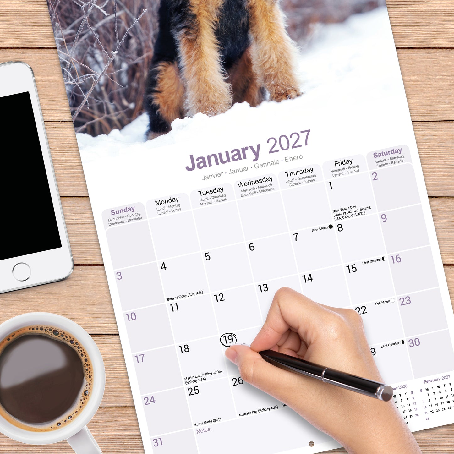 Airedale Terrier Wall Calendar 2027