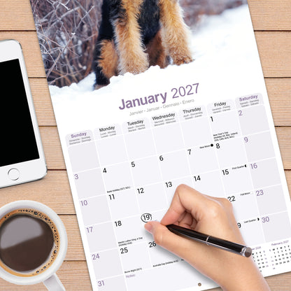 Airedale Terrier Wall Calendar 2027