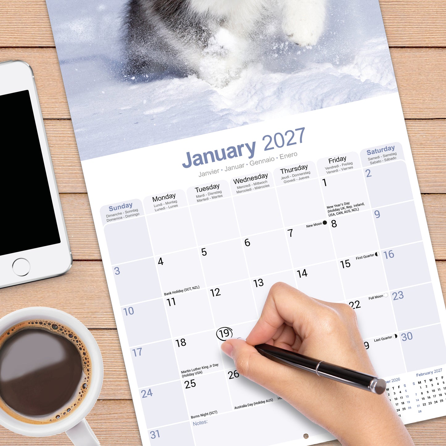 Alaskan Malamute Wall Calendar 2027