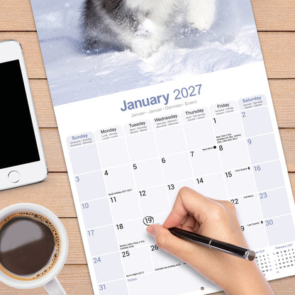 Alaskan Malamute Wall Calendar 2027