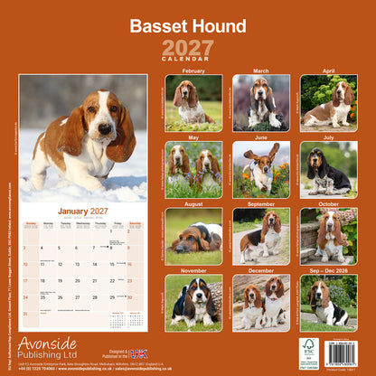 Basset Hound Wall Calendar 2027