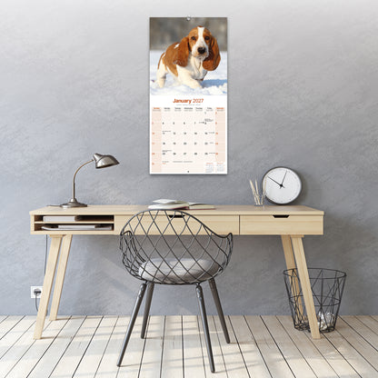 Basset Hound Wall Calendar 2027