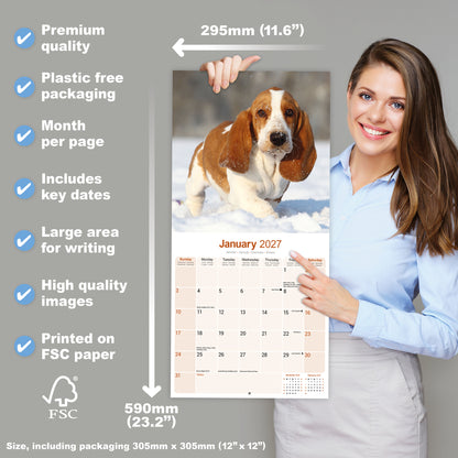 Basset Hound Wall Calendar 2027