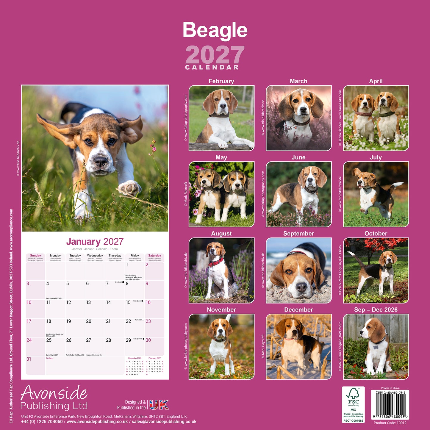 Beagle Wall Calendar 2027