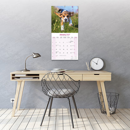 Beagle Wall Calendar 2027