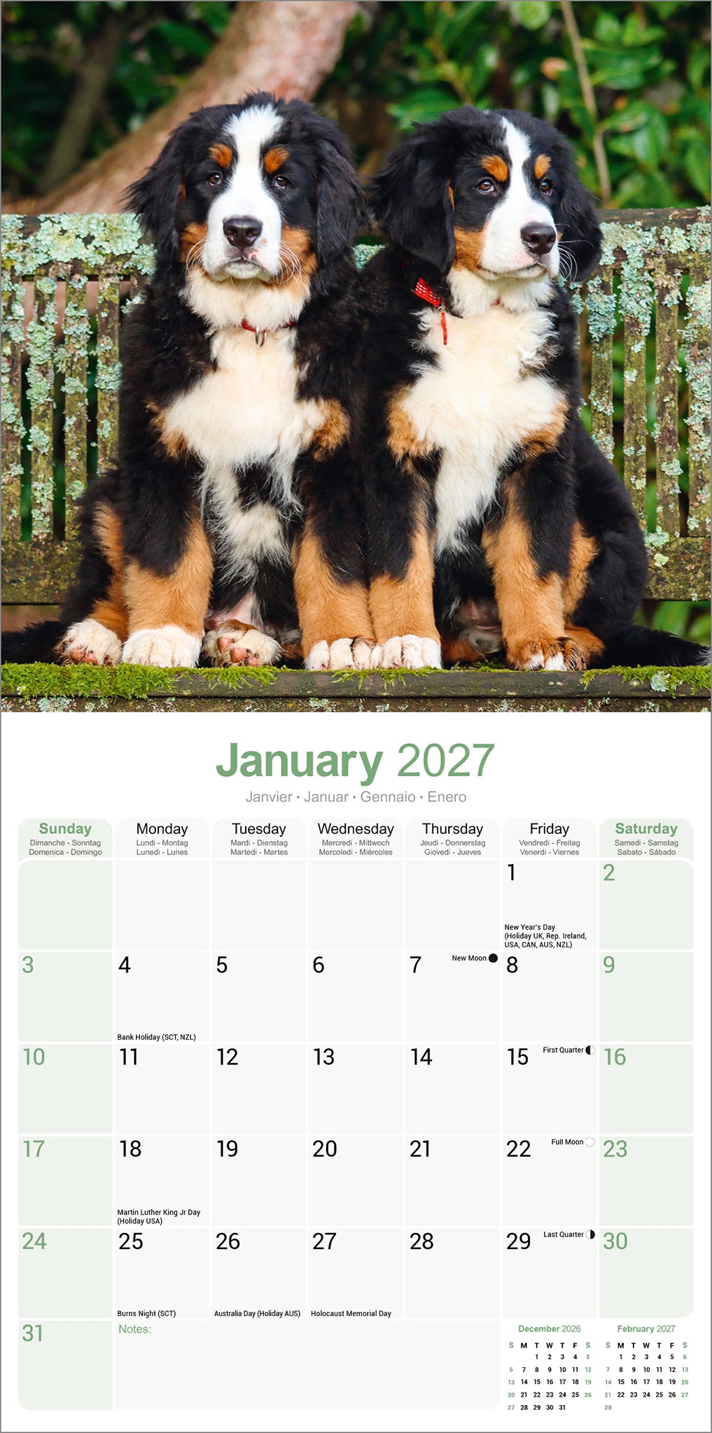 Bernese Mountain Dog Wall Calendar 2027