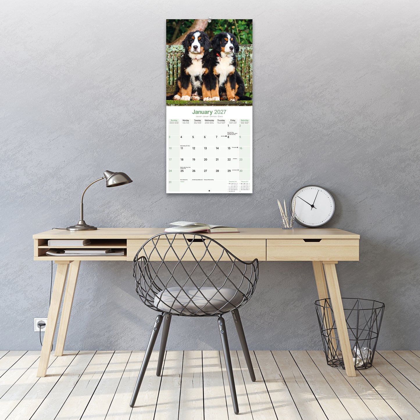 Bernese Mountain Dog Wall Calendar 2027