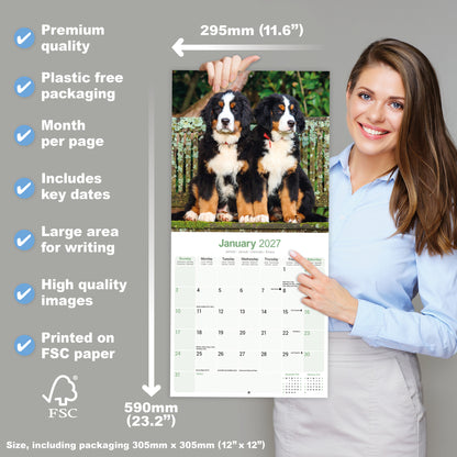 Bernese Mountain Dog Wall Calendar 2027
