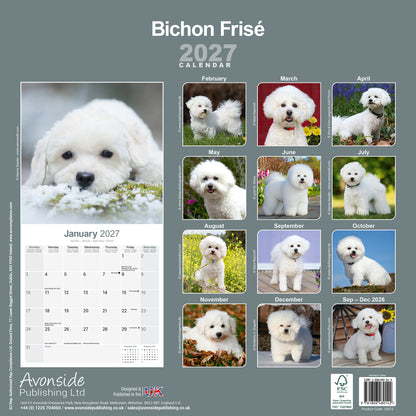 Bichon Frise Wall Calendar 2027