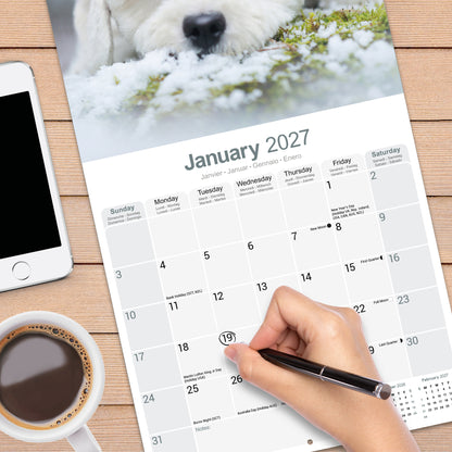 Bichon Frise Wall Calendar 2027