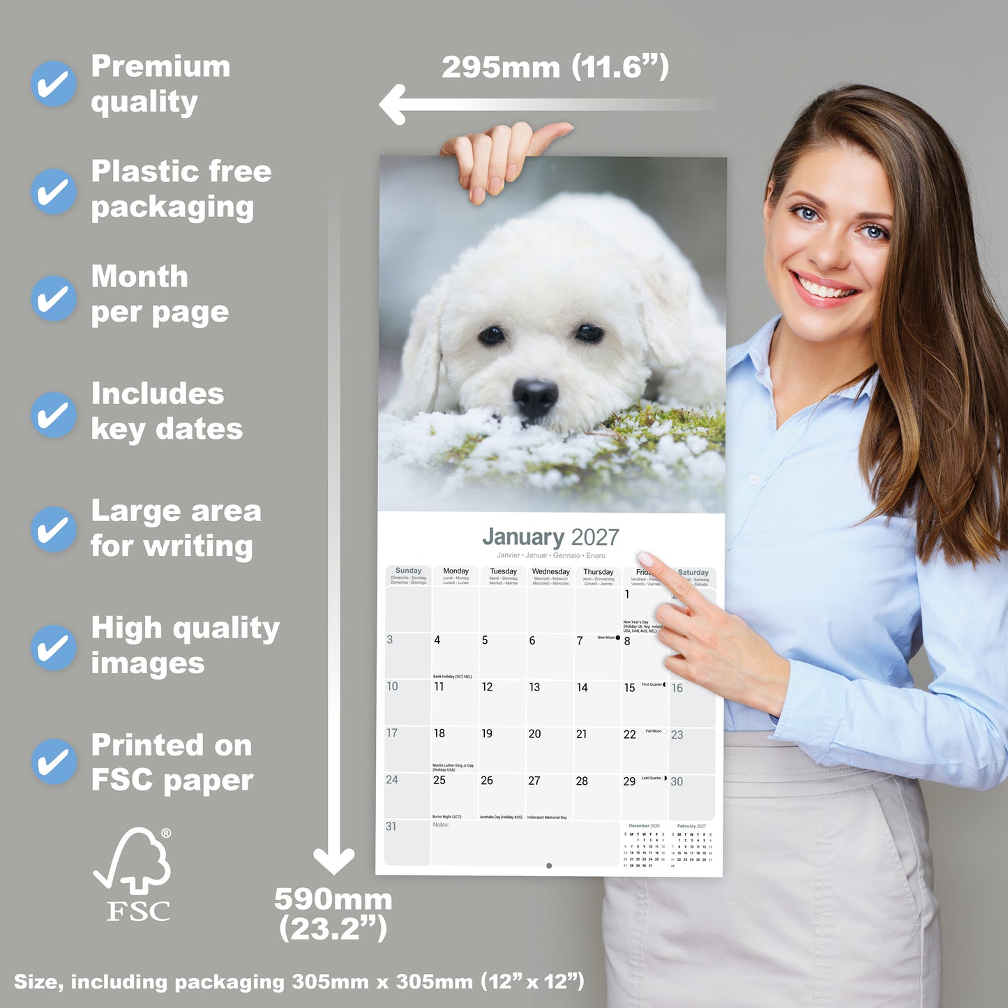 Bichon Frise Wall Calendar 2027