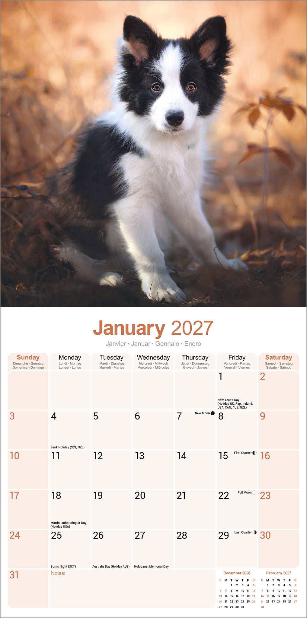 Border Collie Wall Calendar 2027