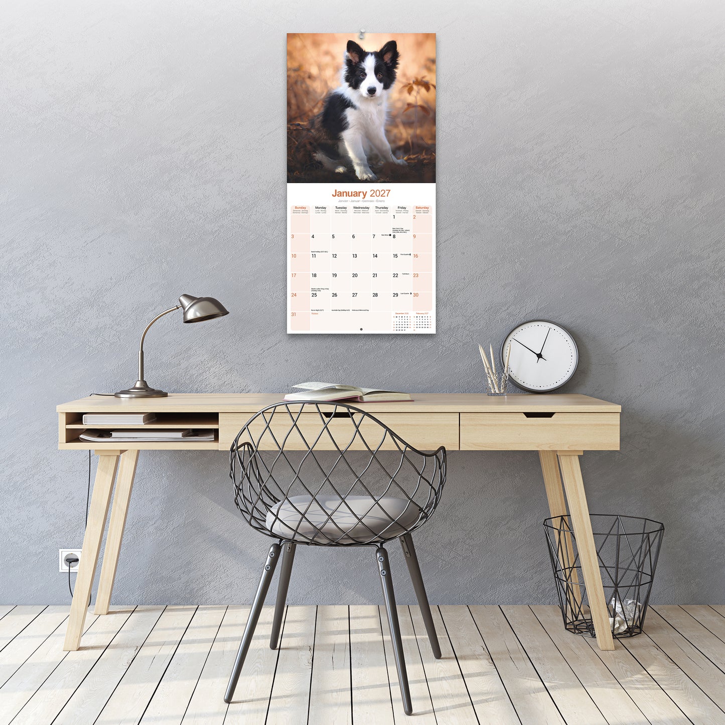Border Collie Wall Calendar 2027