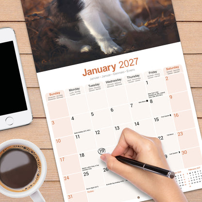 Border Collie Wall Calendar 2027