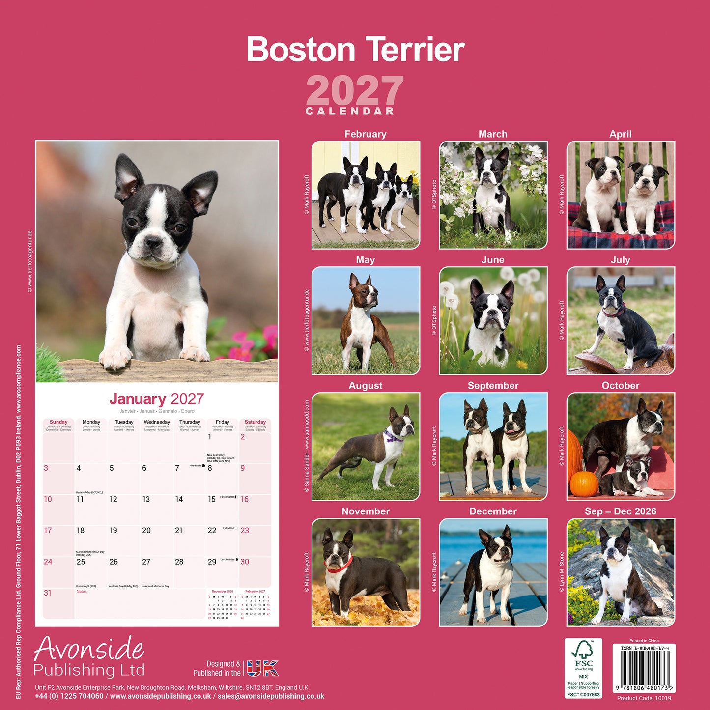 Boston Terrier Wall Calendar 2027