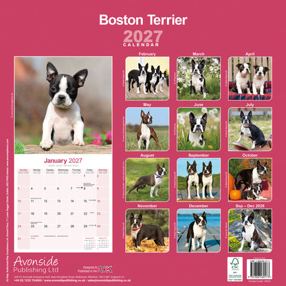 Boston Terrier Wall Calendar 2027
