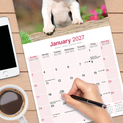 Boston Terrier Wall Calendar 2027
