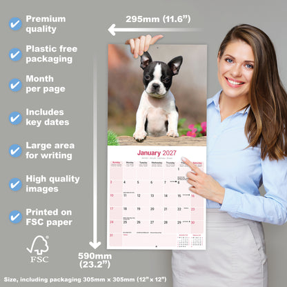 Boston Terrier Wall Calendar 2027