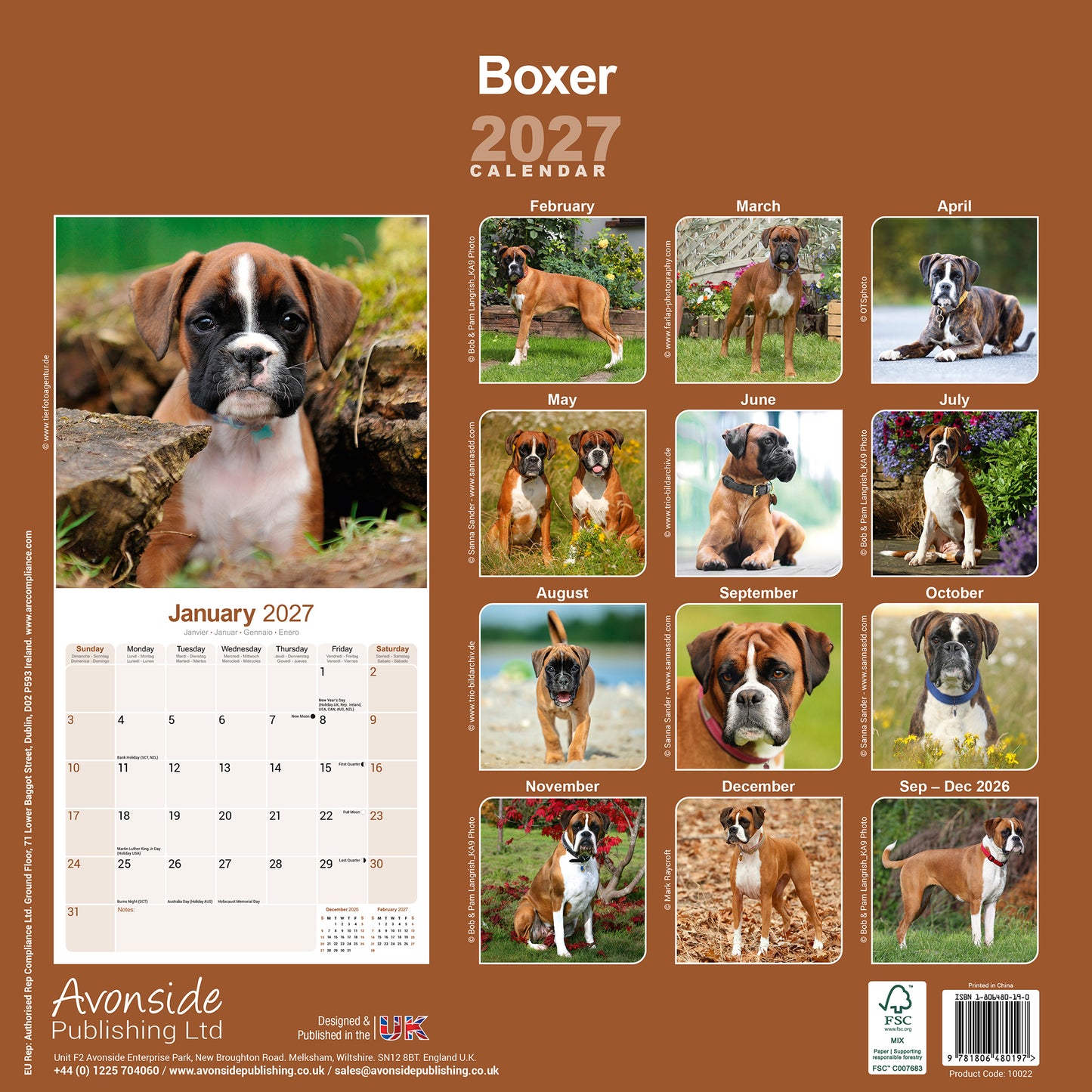 Boxer Wall Calendar 2027