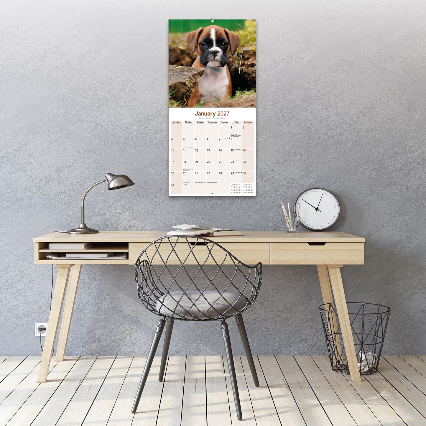 Boxer Wall Calendar 2027