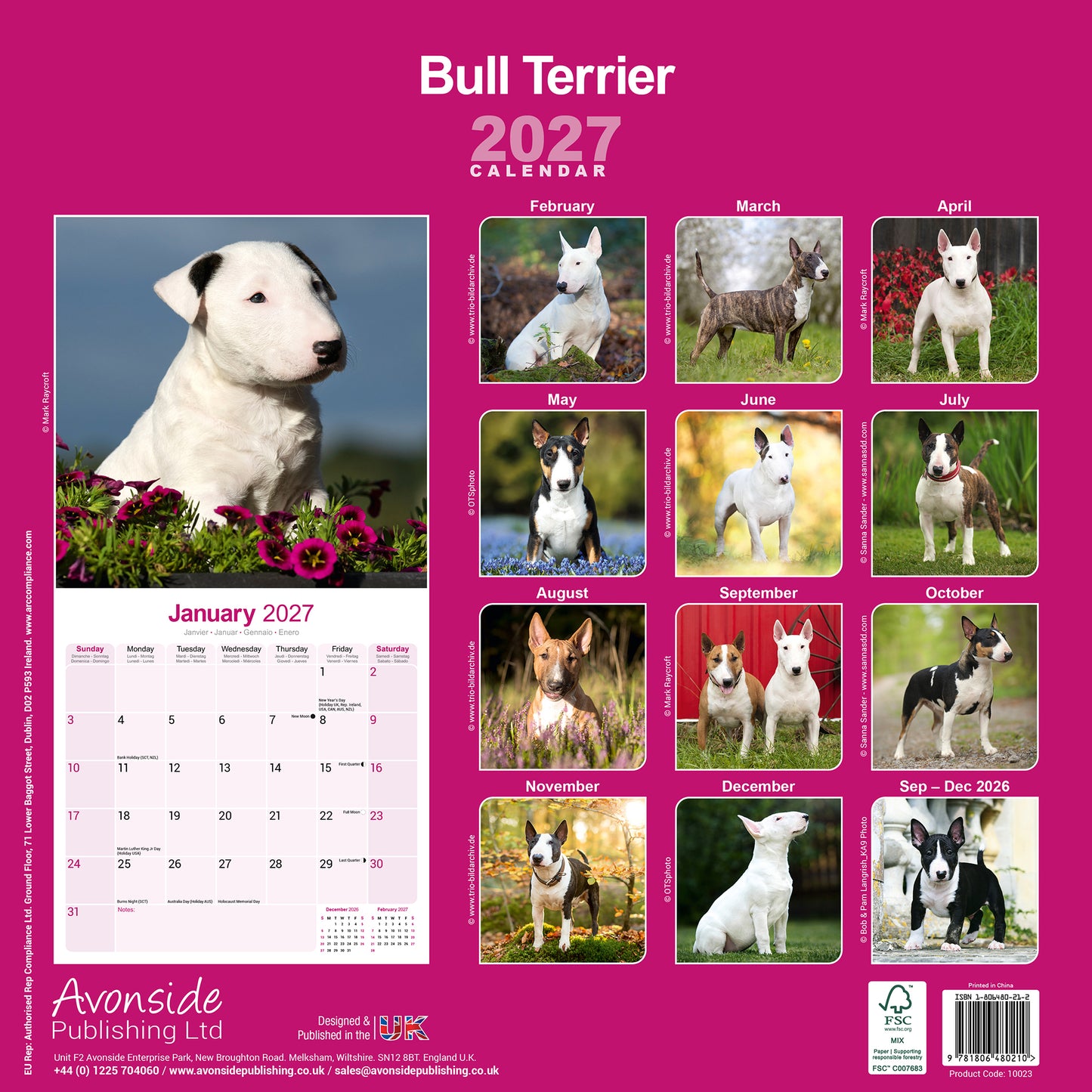 Bull Terrier Wall Calendar 2027