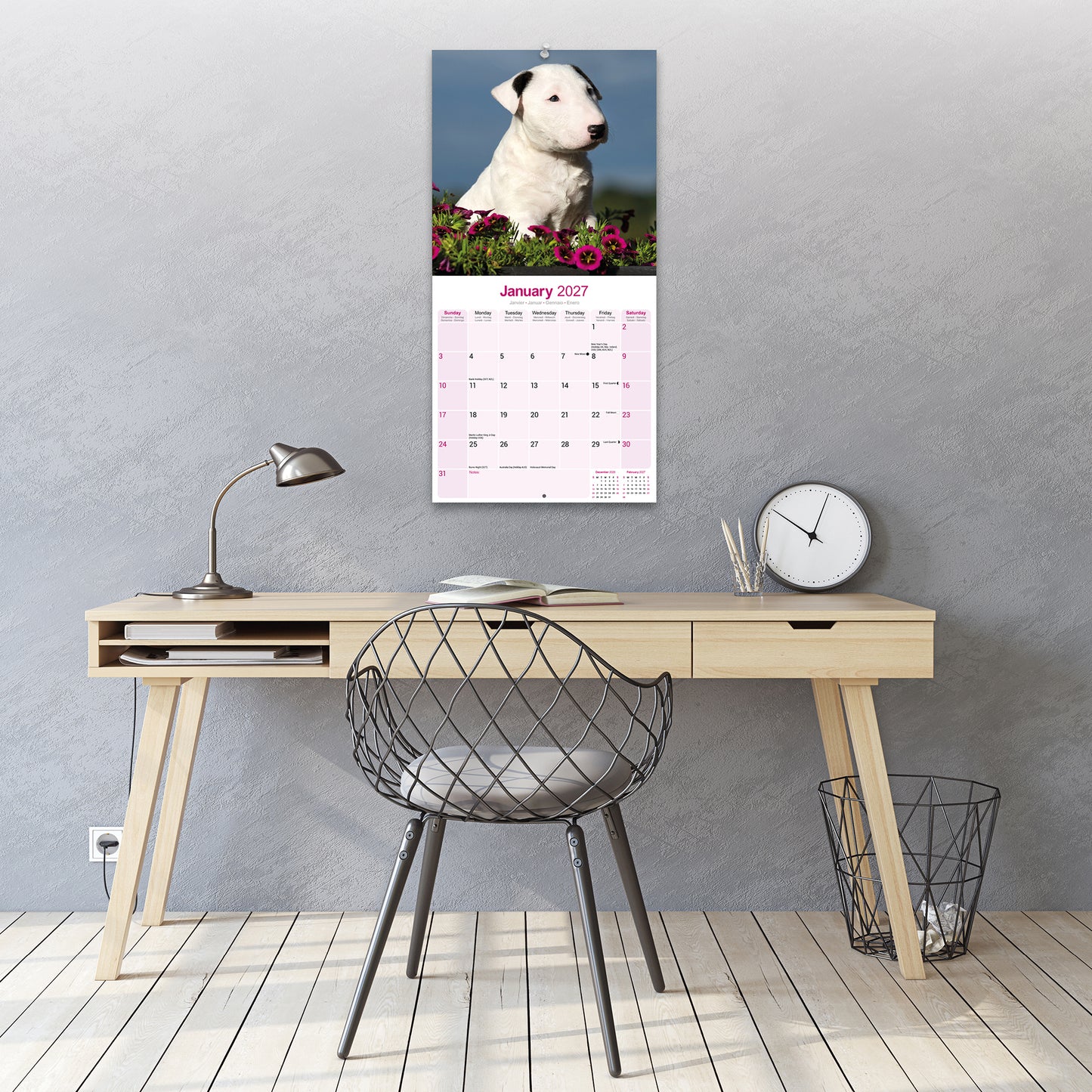 Bull Terrier Wall Calendar 2027