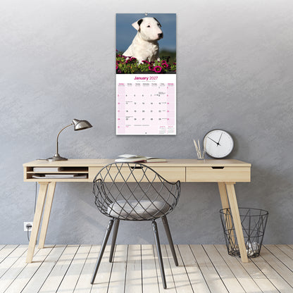 Bull Terrier Wall Calendar 2027