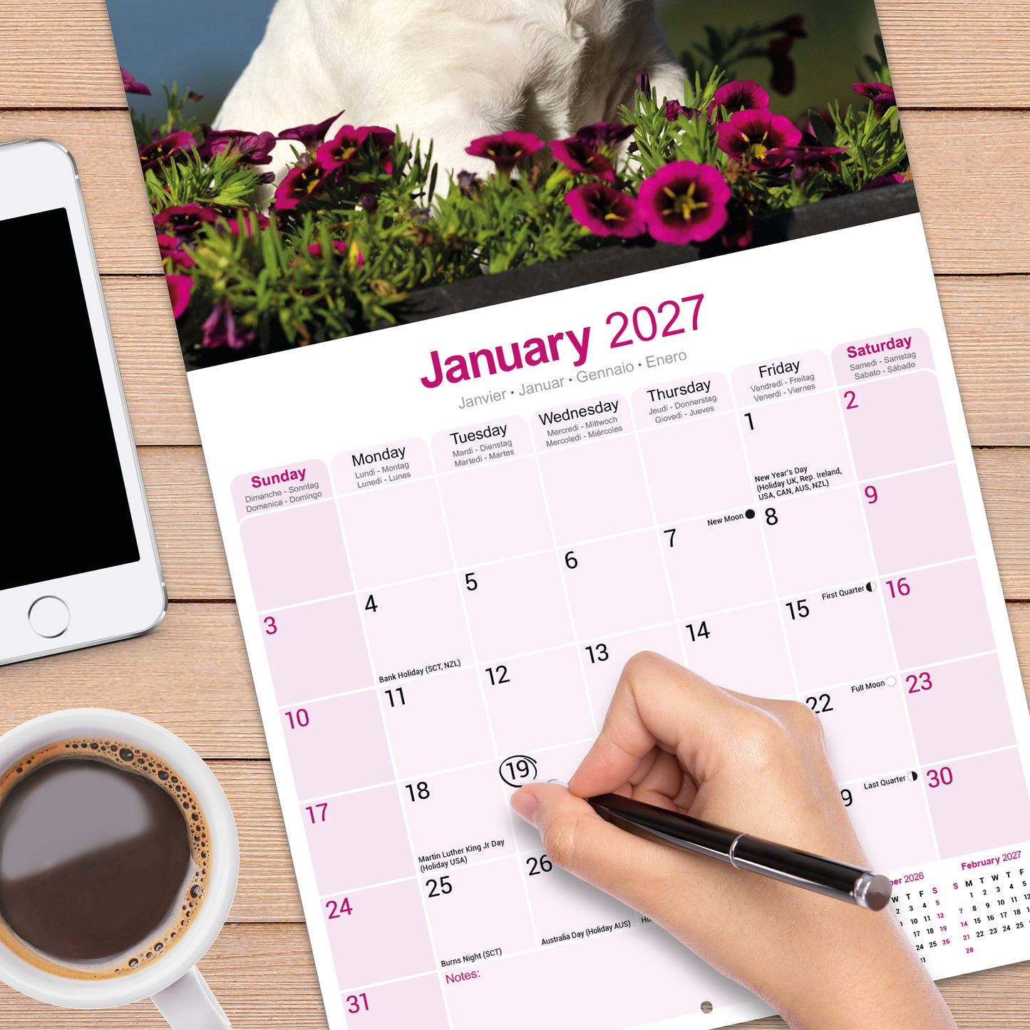 Bull Terrier Wall Calendar 2027