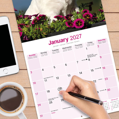 Bull Terrier Wall Calendar 2027