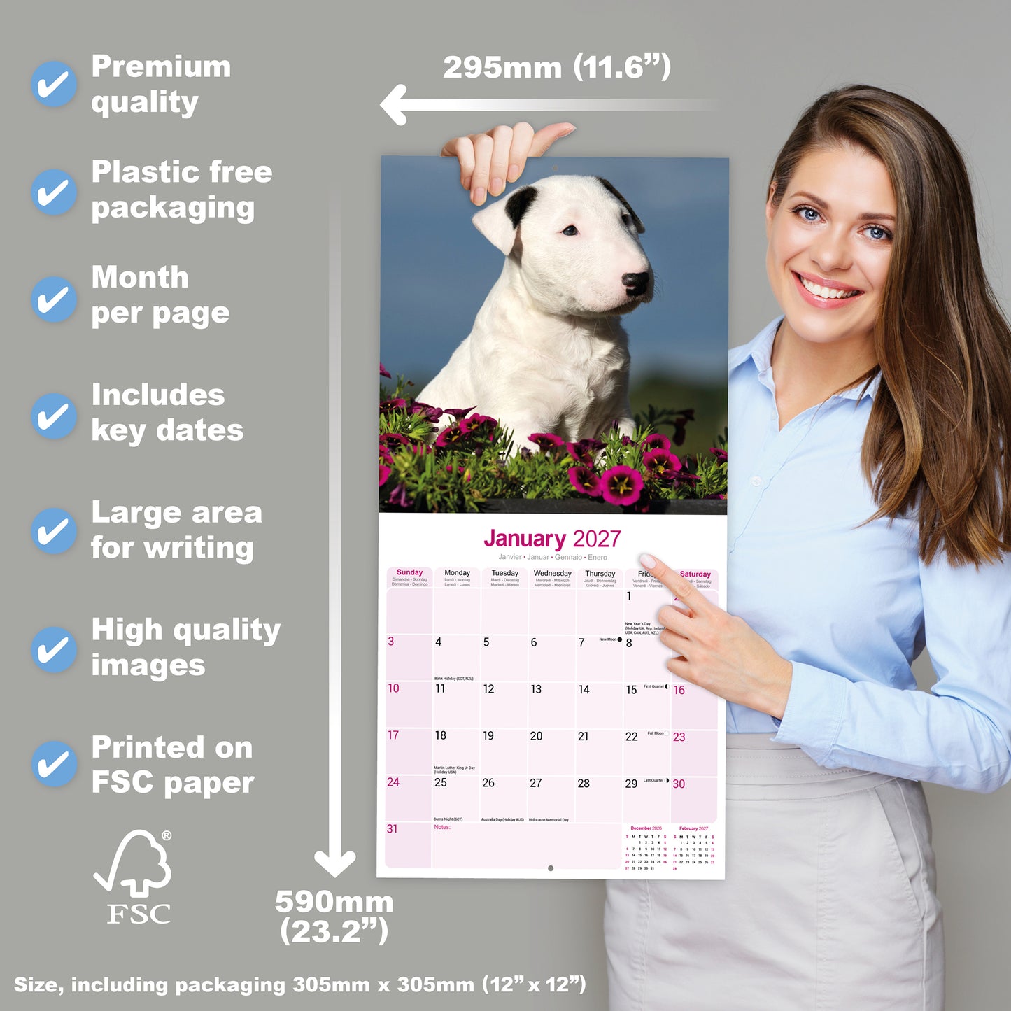 Bull Terrier Wall Calendar 2027