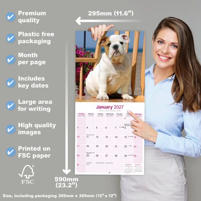 Bulldog Wall Calendar 2027