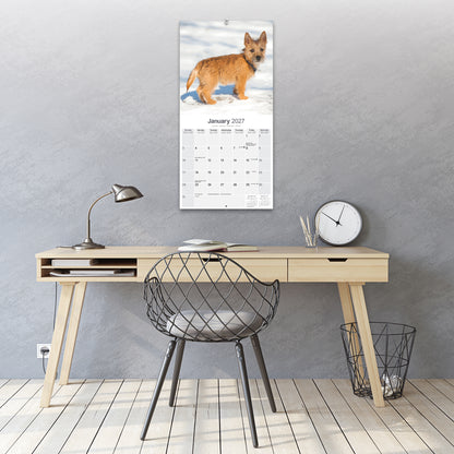 Cairn Terrier Wall Calendar 2027