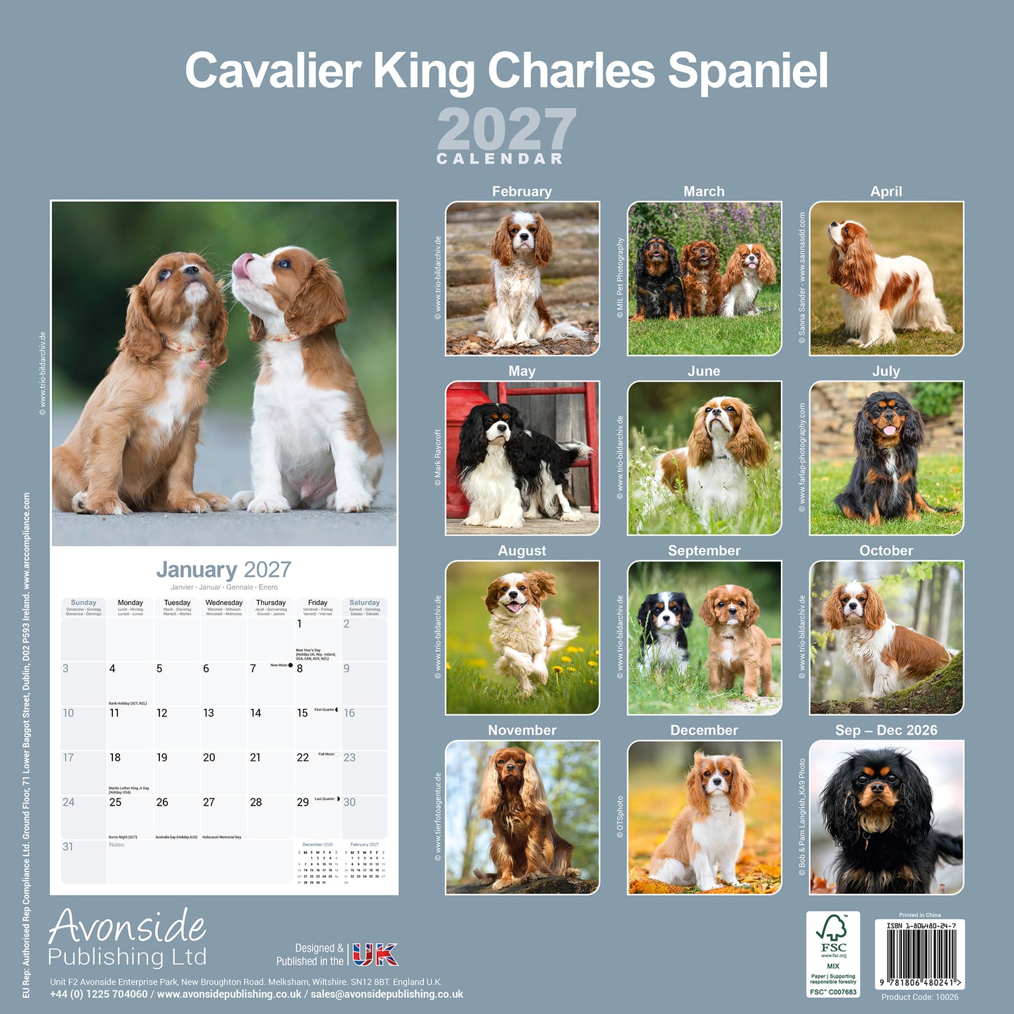 Cavalier King Charles Spaniel Wall Calendar 2027