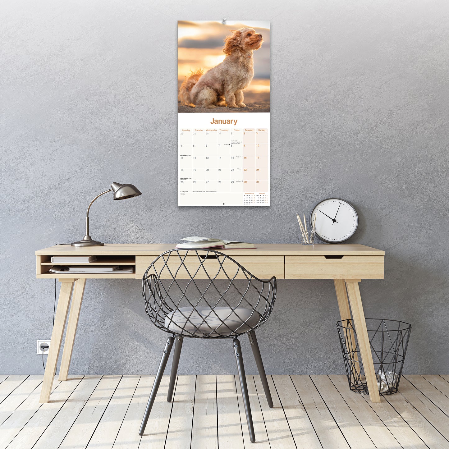 Cavapoo Wall Calendar 2027
