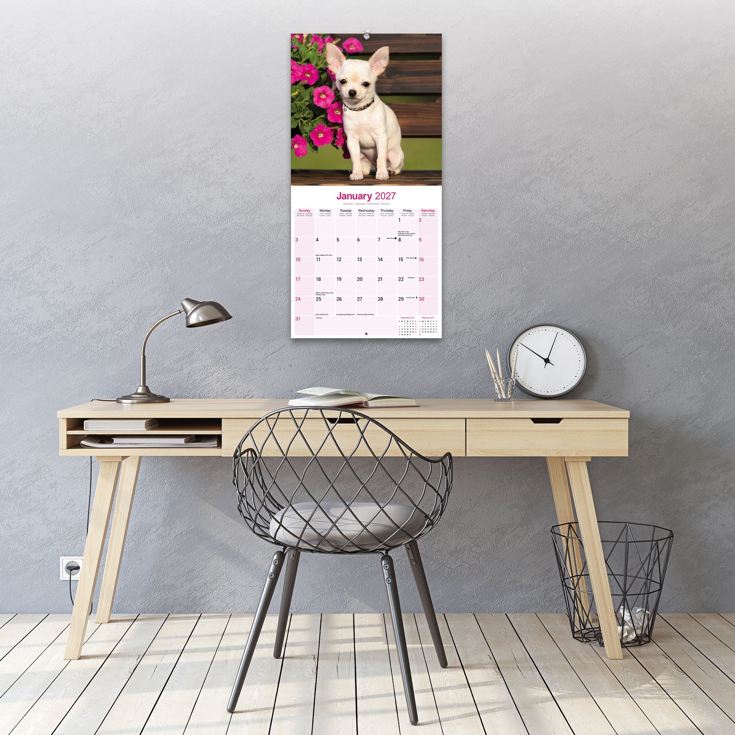 Chihuahua Wall Calendar 2027
