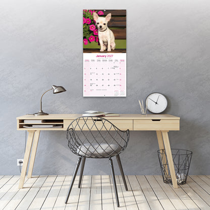 Chihuahua Wall Calendar 2027