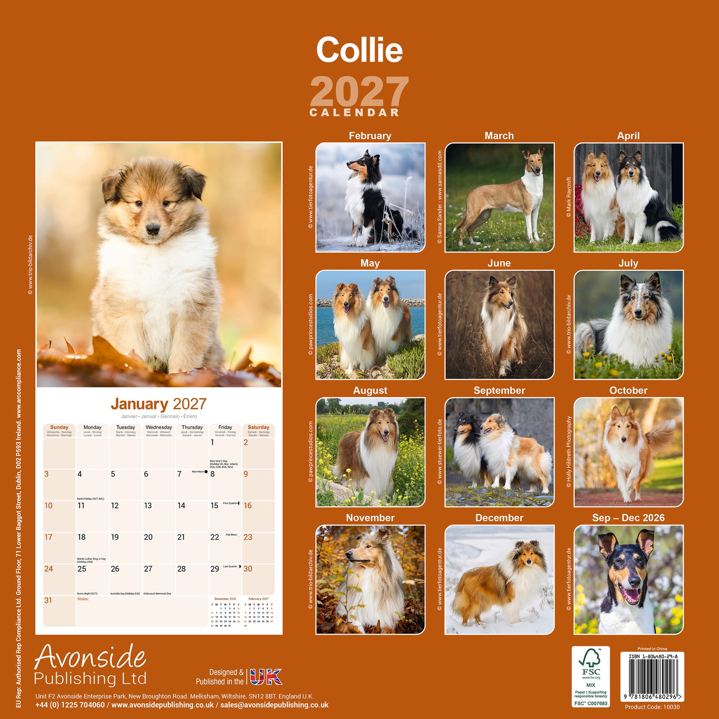 Collie Wall Calendar 2027