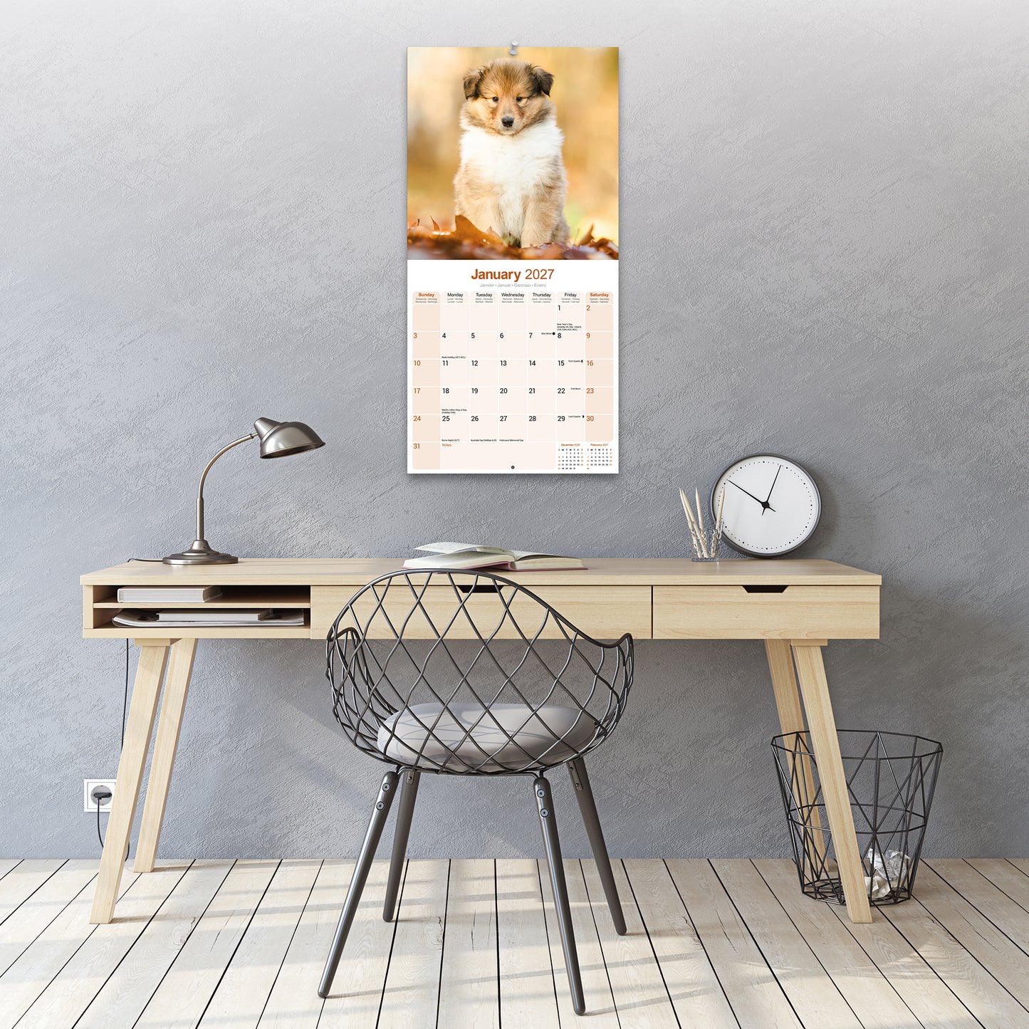 Collie Wall Calendar 2027