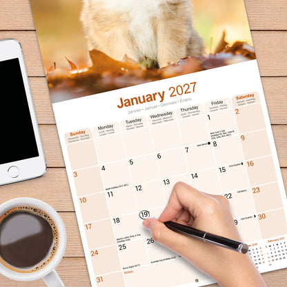 Collie Wall Calendar 2027