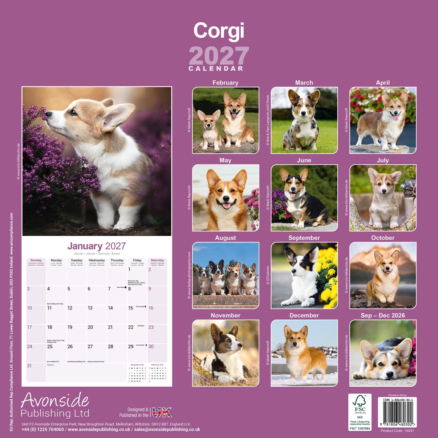 Corgi Wall Calendar 2027