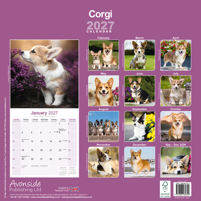 Corgi Wall Calendar 2027