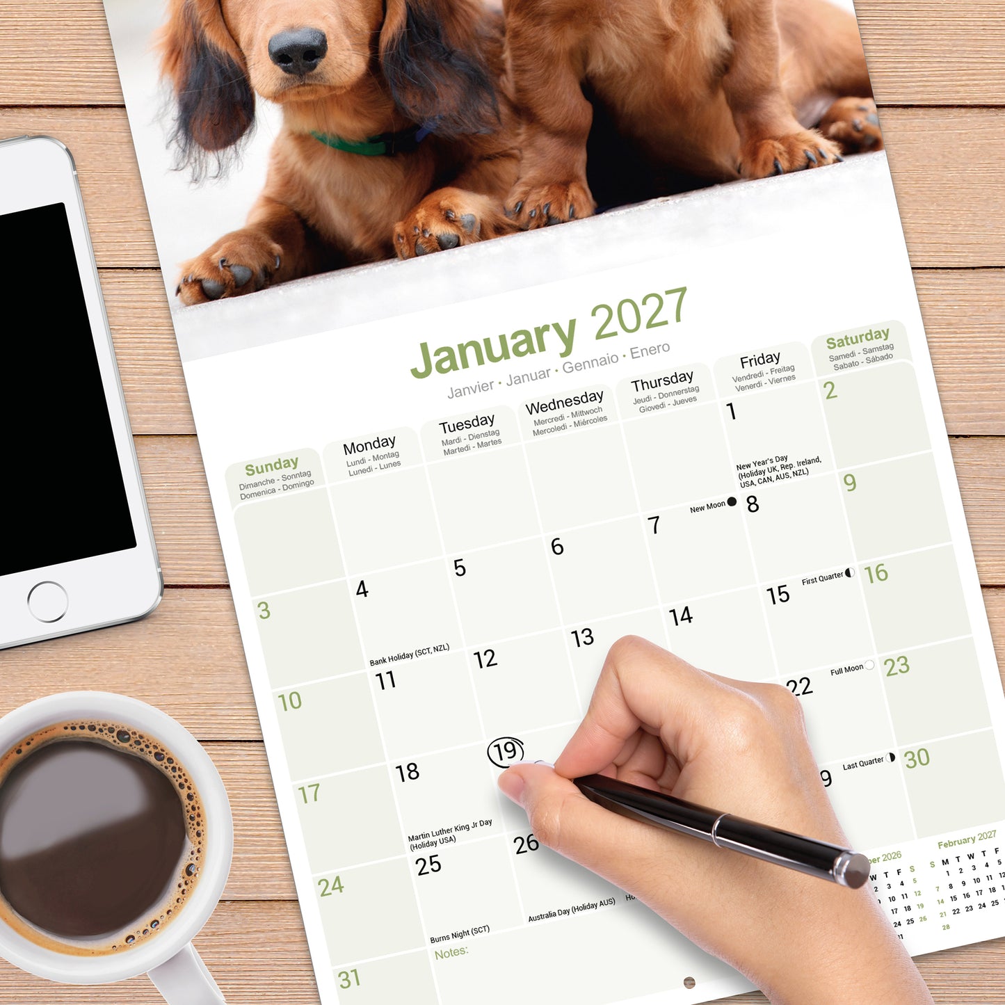 Dachshund Longhaired Wall Calendar 2027