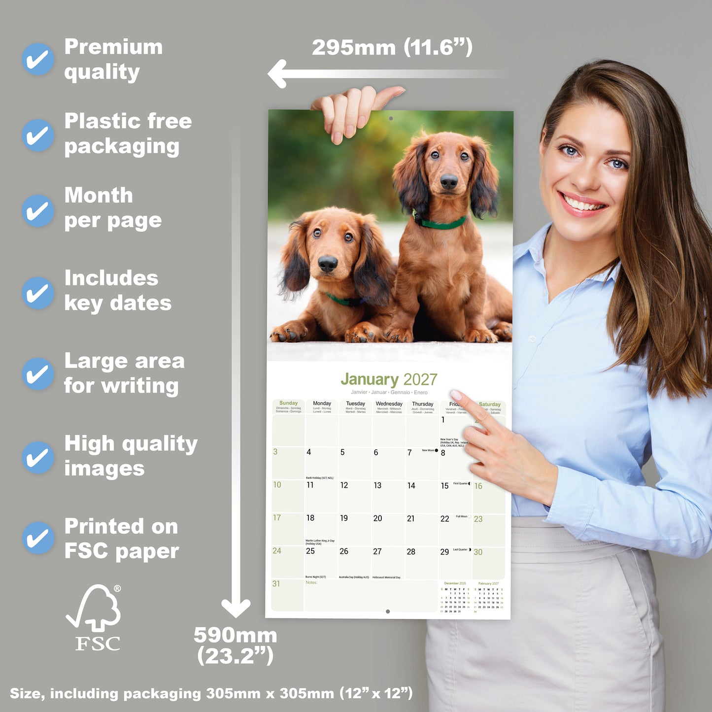 Dachshund Longhaired Wall Calendar 2027