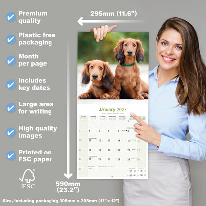 Dachshund Longhaired Wall Calendar 2027