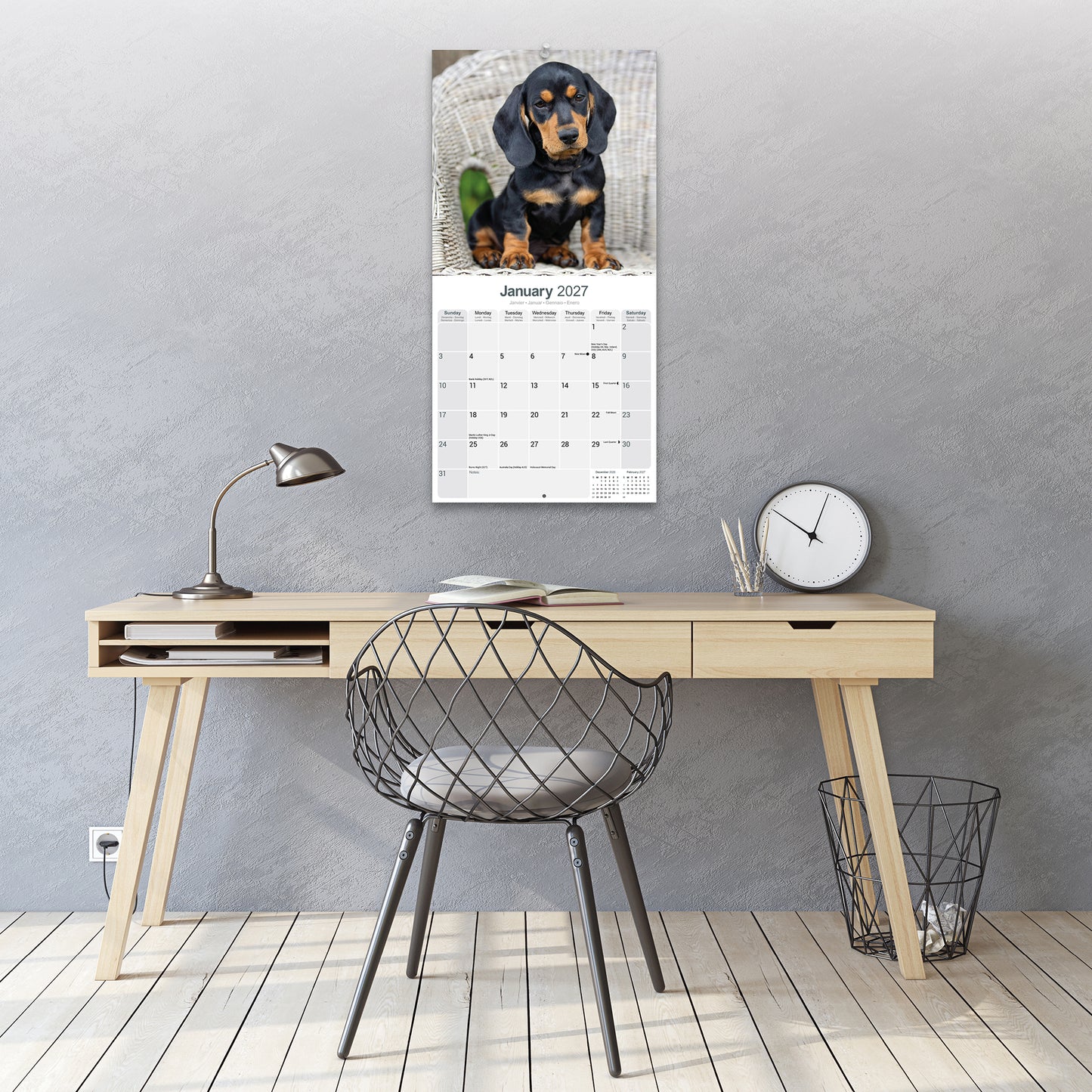Dachshund Wall Calendar 2027