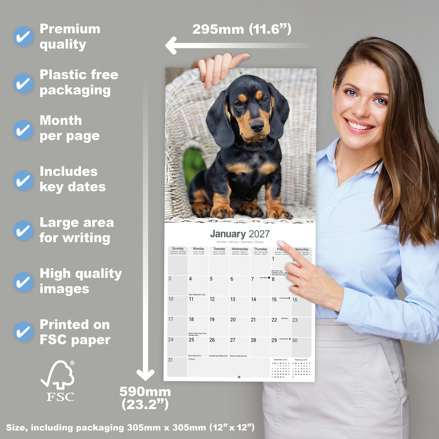 Dachshund Wall Calendar 2027