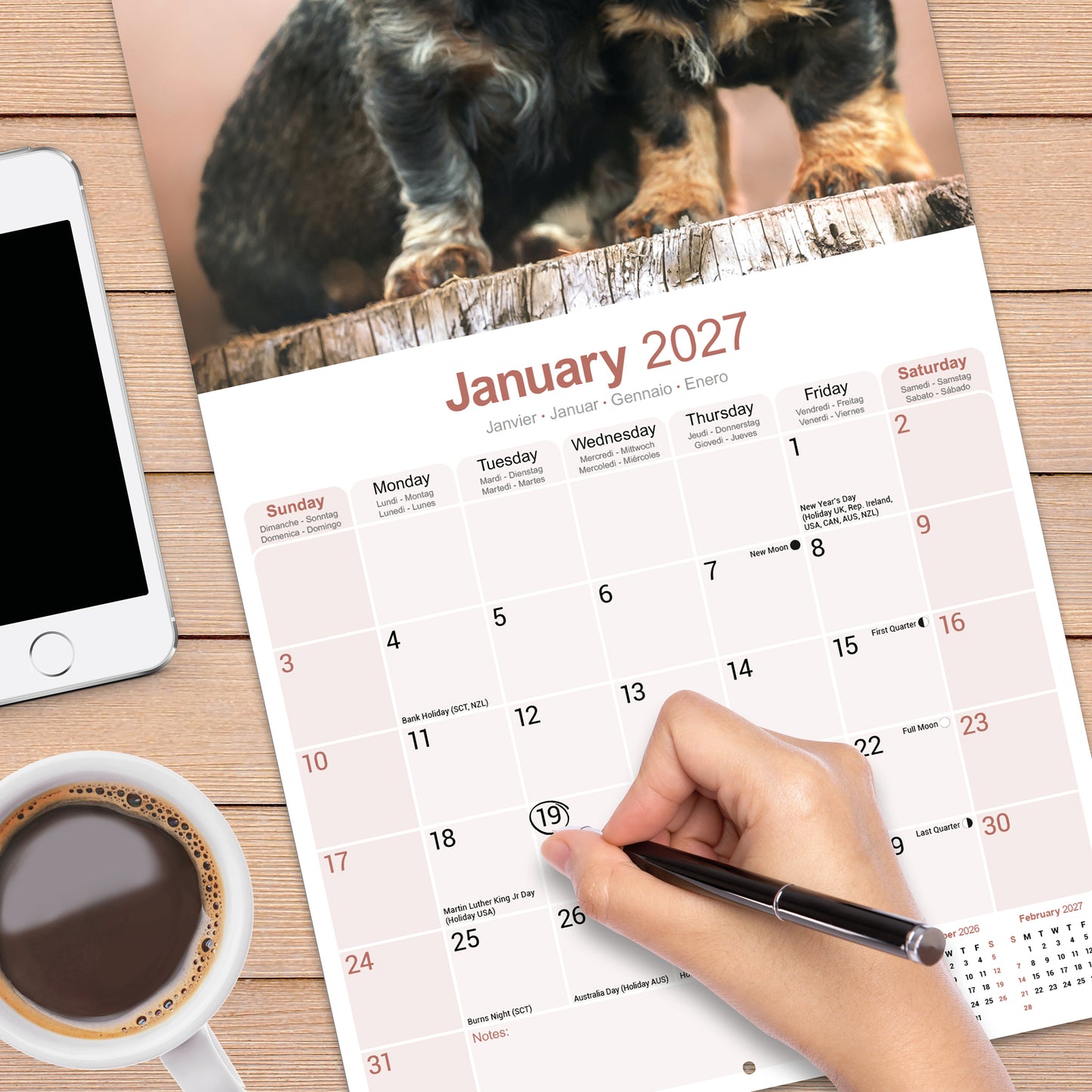 Dachshunds Wirehaired Wall Calendar 2027