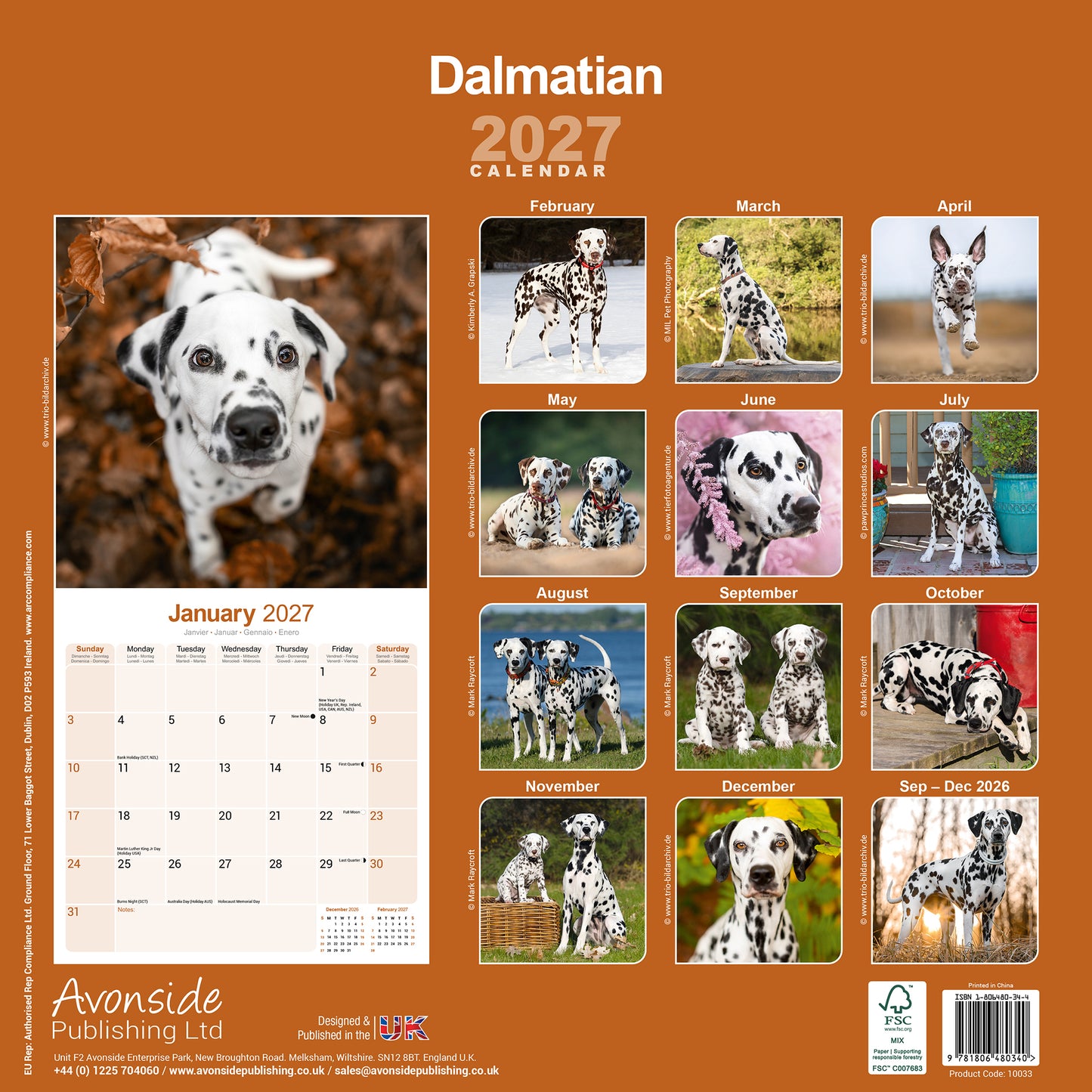 Dalmatian Wall Calendar 2027