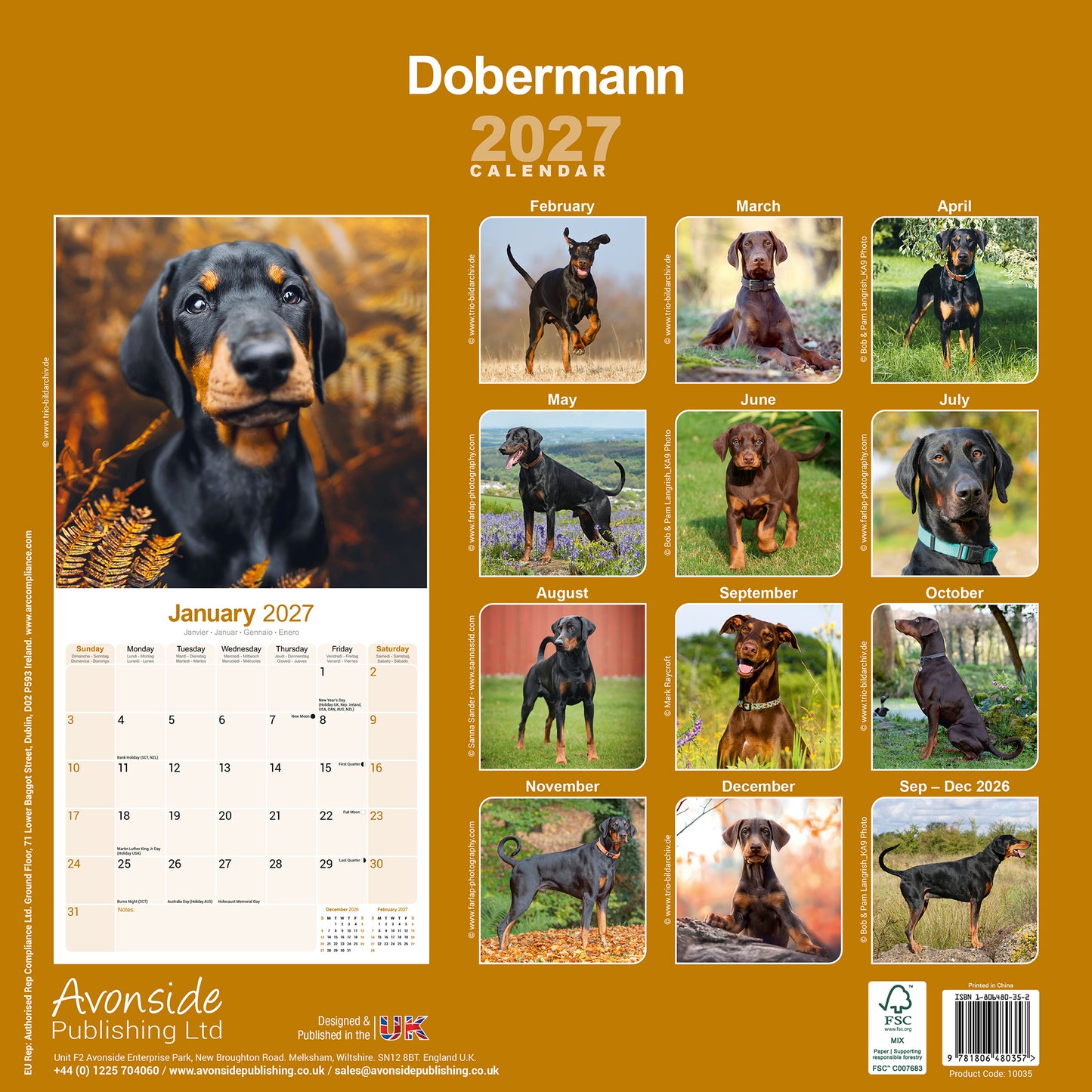 Dobermann Wall Calendar 2027