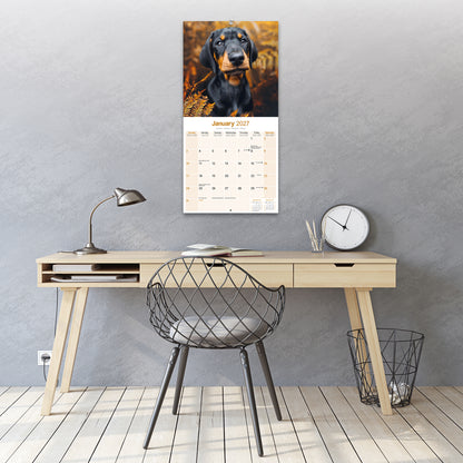 Dobermann Wall Calendar 2027
